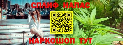 МДПВ Заводоуковск