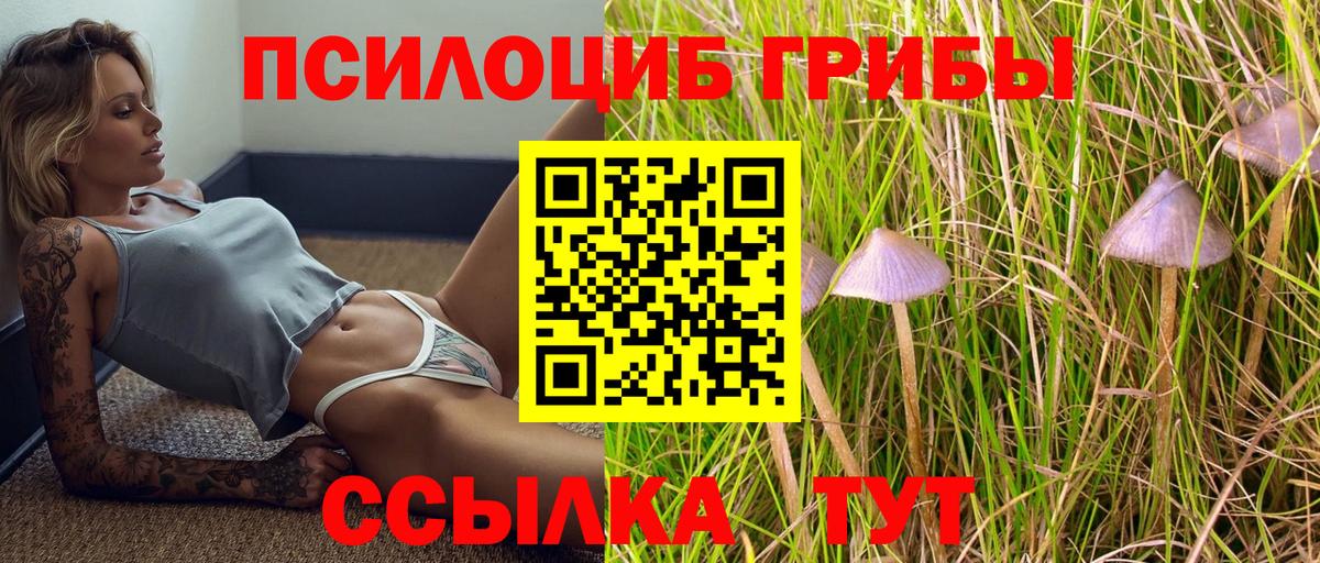 Псилоцибиновые грибы GOLDEN TEACHER Магнитогорск