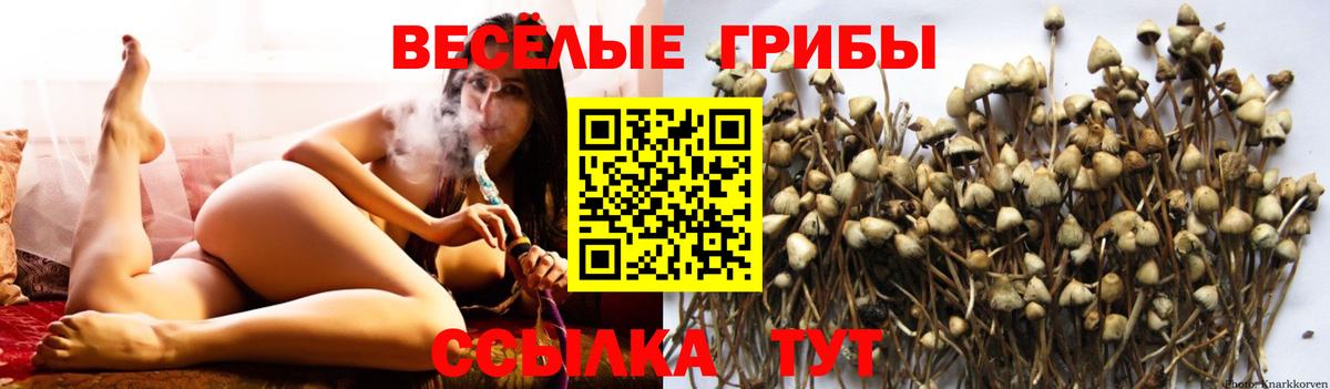 Меф мяу мяу Магнитогорск